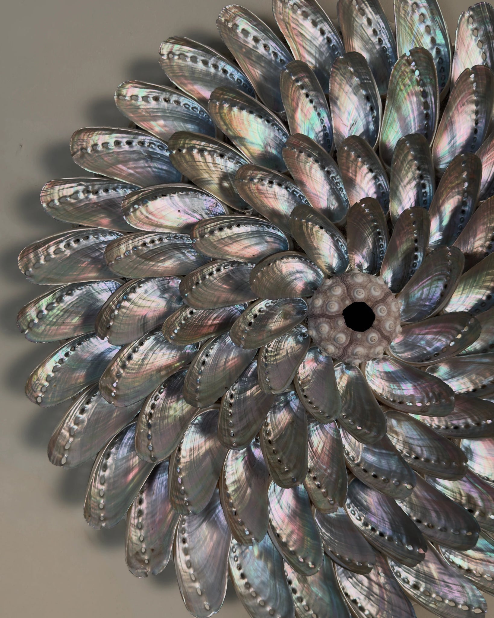 WHIRLPOOLS | Wall decoration | Shellman | Amsterdam | Natural art from sea and beach