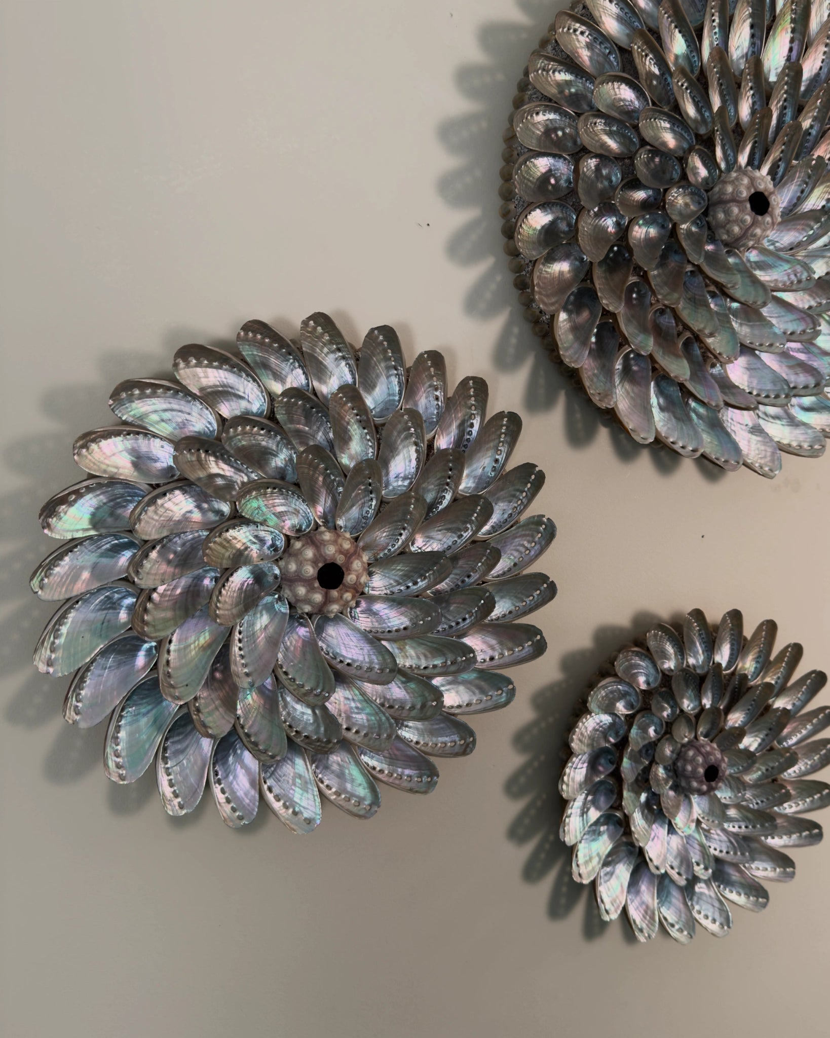 WHIRLPOOLS | Wall decoration | Shellman | Amsterdam | Natural art from sea and beach