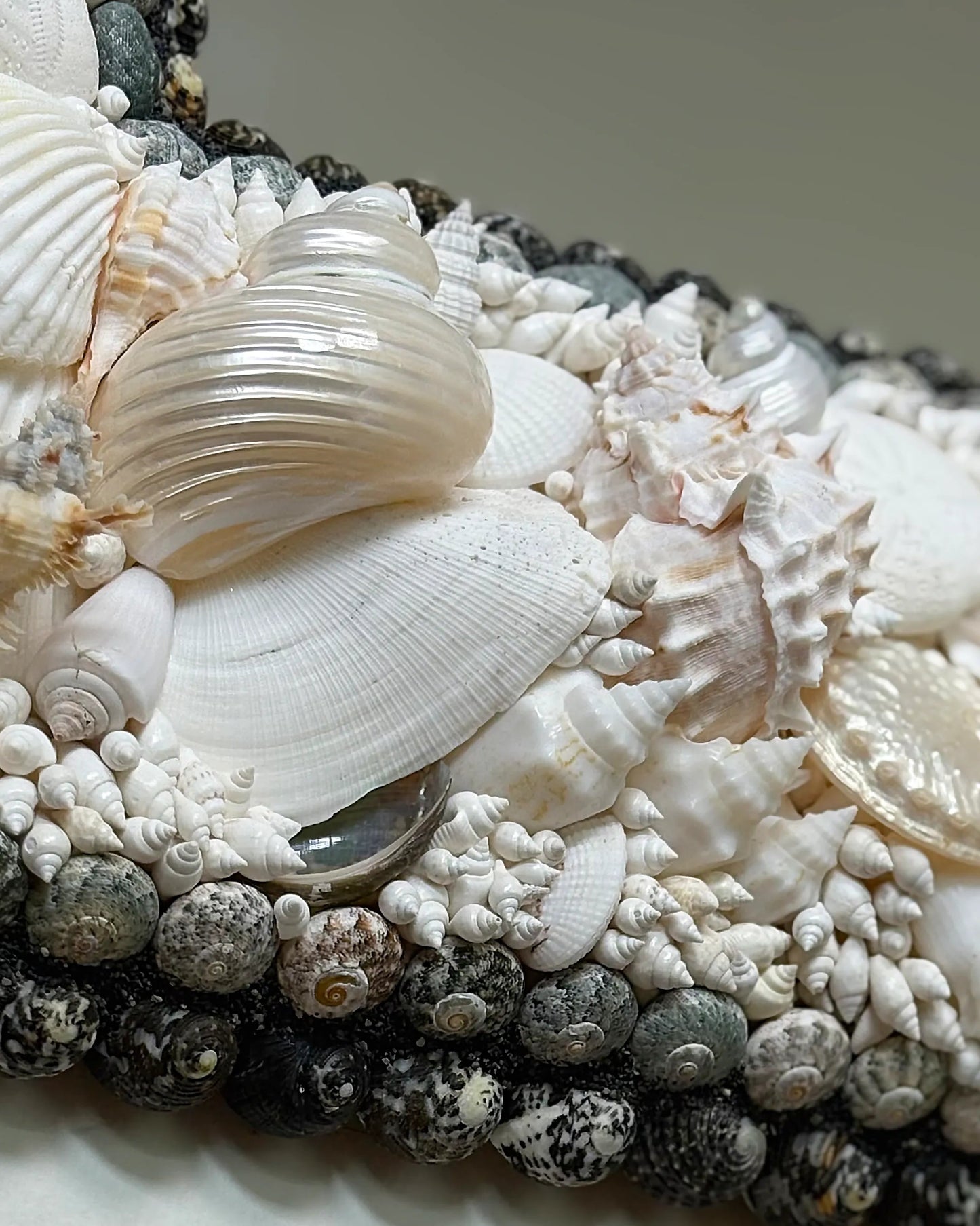 White Arc | Shell mirror, 1 of 1 | Shellman | Amsterdam | Natural art from sea and beach