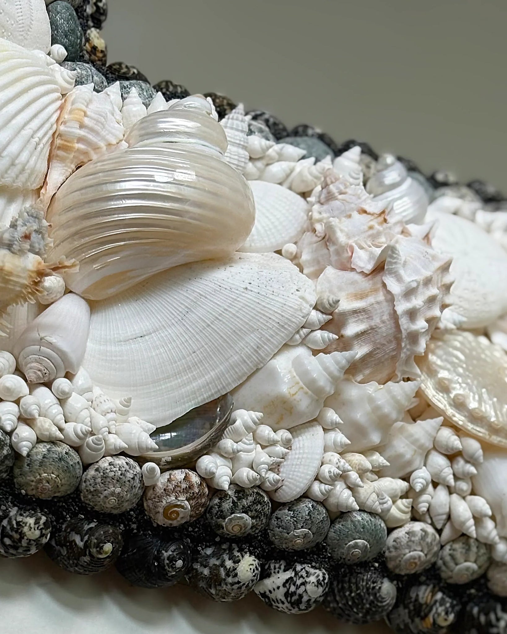 White Arc | Shell mirror, 1 of 1 | Shellman | Amsterdam | Natural art from sea and beach