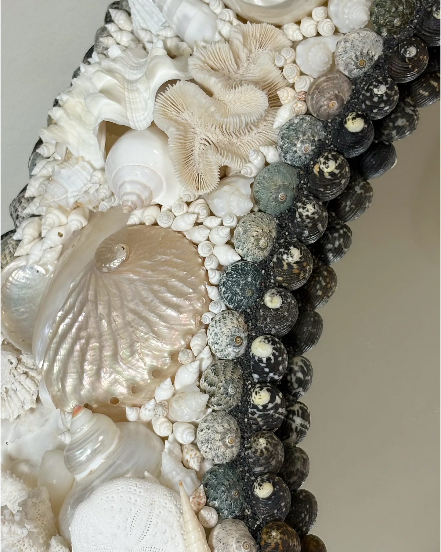 White Arc | Shell mirror, 1 of 1 | Shellman | Amsterdam | Natural art from sea and beach