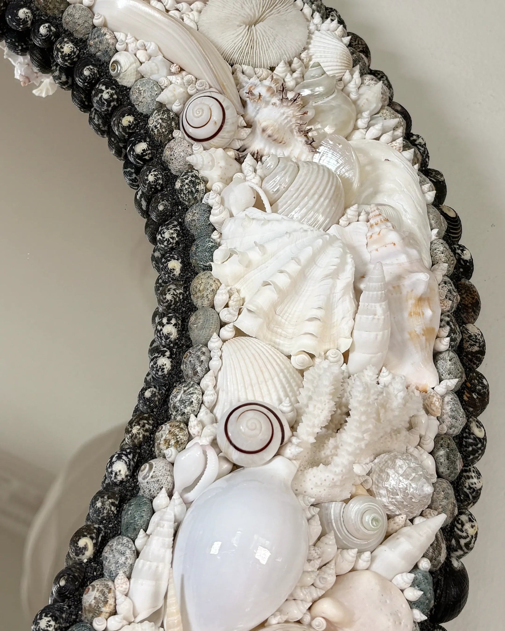 White Arc | Shell mirror, 1 of 1 | Shellman | Amsterdam | Natural art from sea and beach