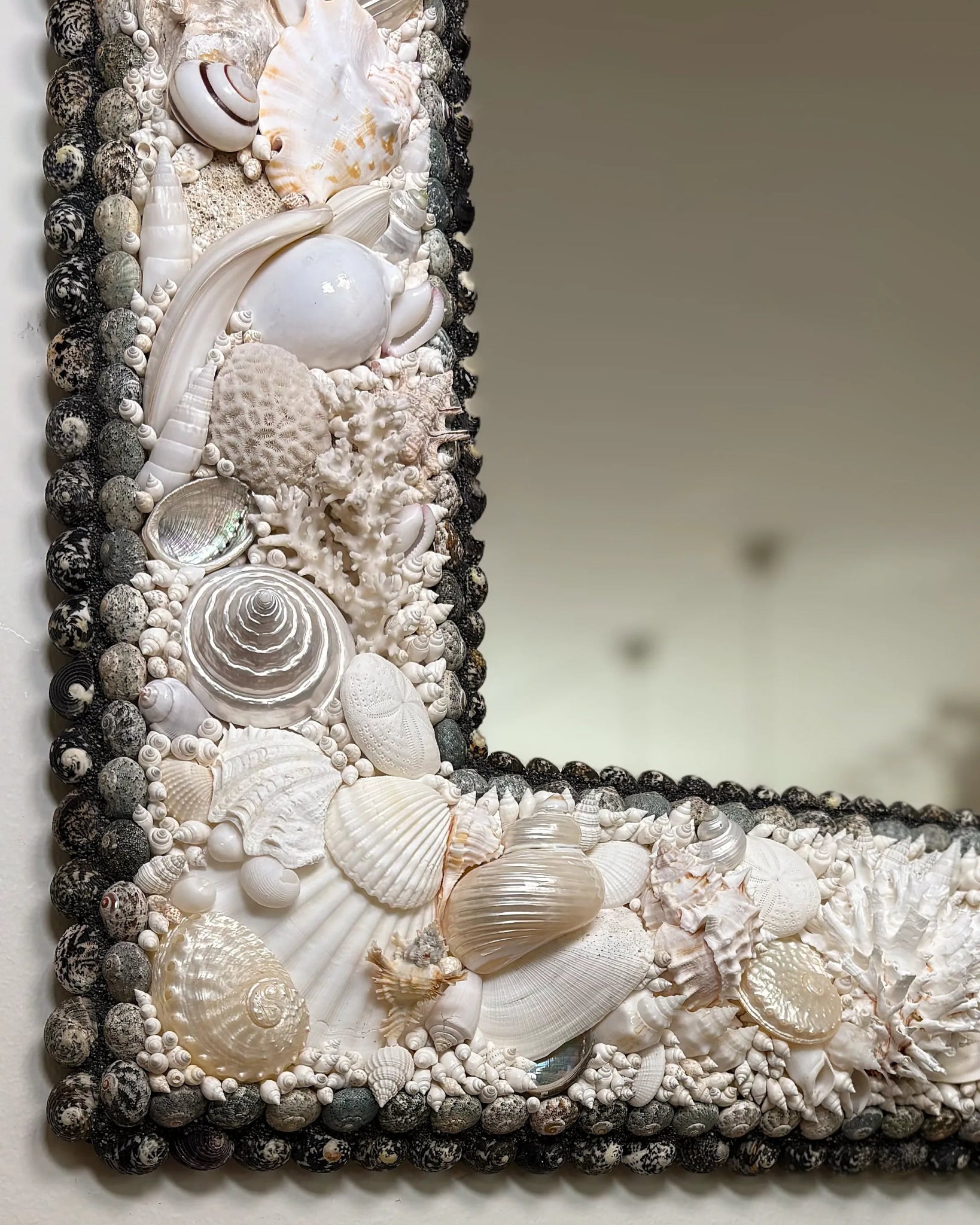 White Arc | Shell mirror, 1 of 1 | Shellman | Amsterdam | Natural art from sea and beach