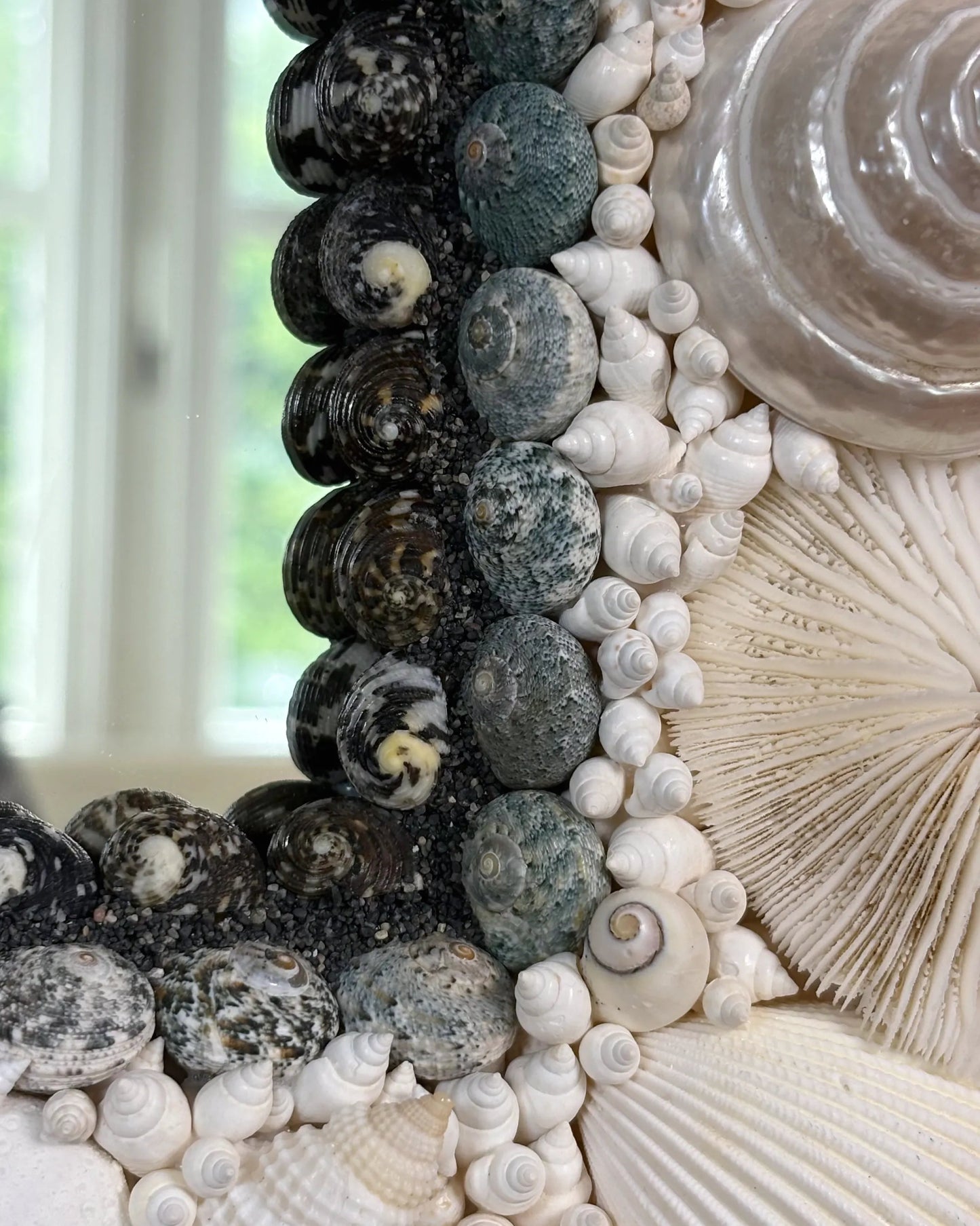 White Arc | Shell mirror, 1 of 1 | Shellman | Amsterdam | Natural art from sea and beach