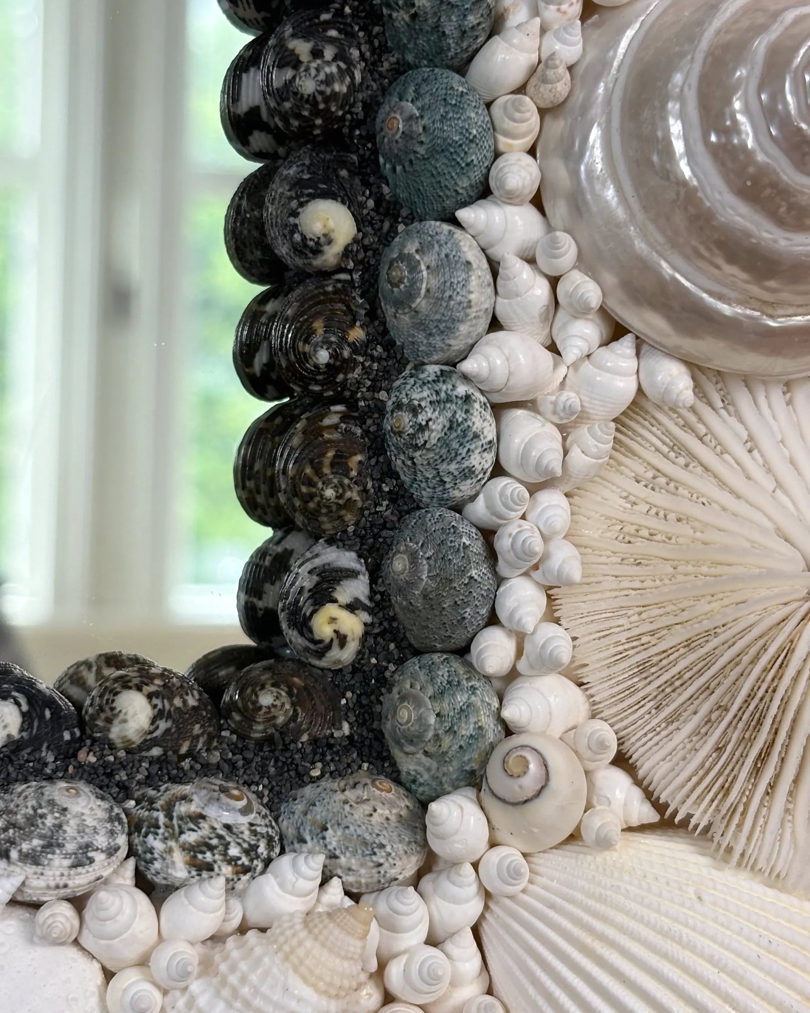 White Arc | Shell mirror, 1 of 1 | Shellman | Amsterdam | Natural art from sea and beach