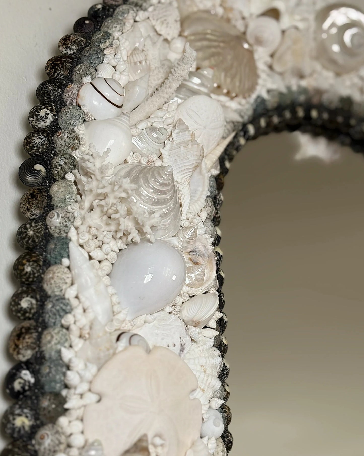 White Arc | Shell mirror, 1 of 1 | Shellman | Amsterdam | Natural art from sea and beach