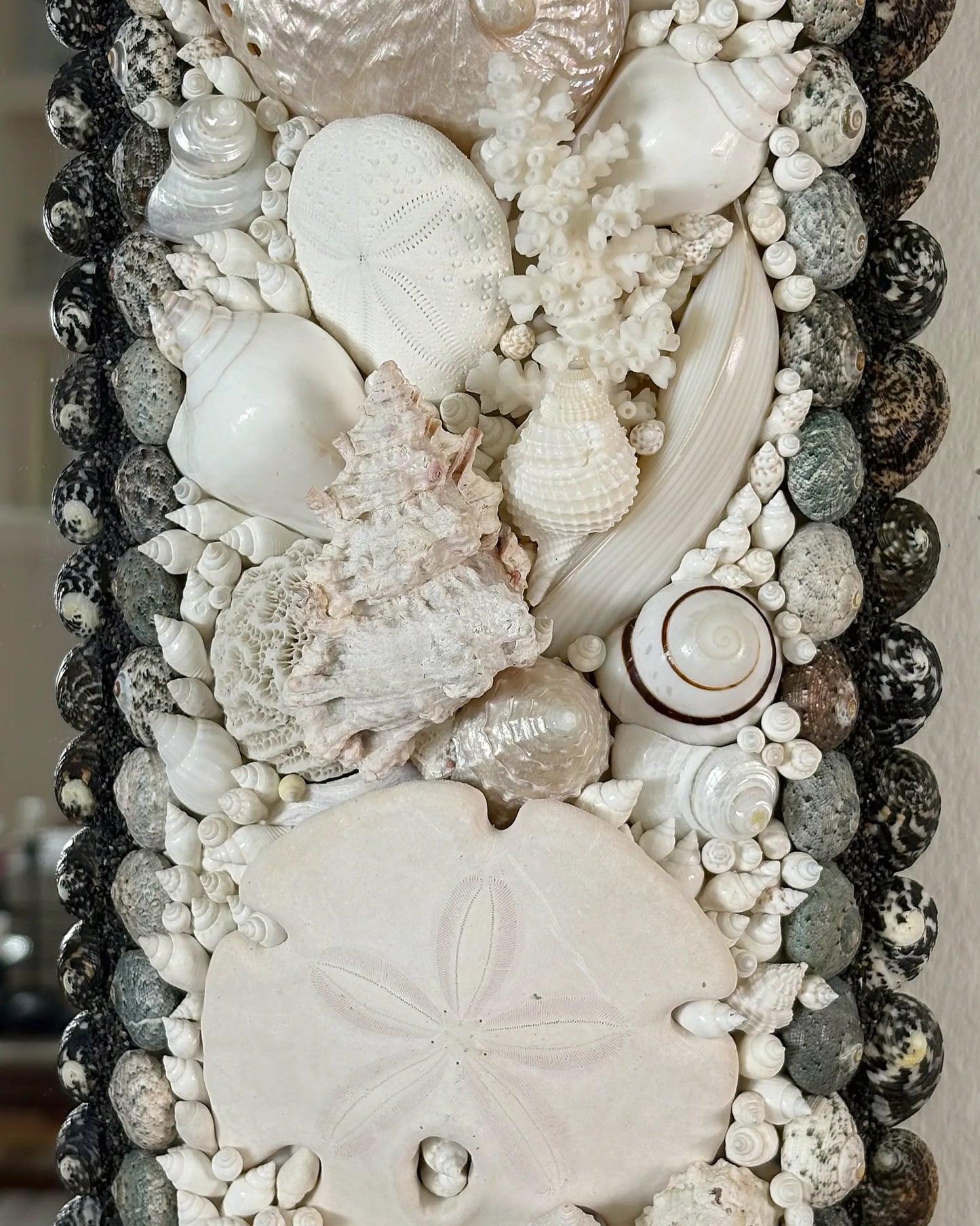 White Arc | Shell mirror, 1 of 1 | Shellman | Amsterdam | Natural art from sea and beach