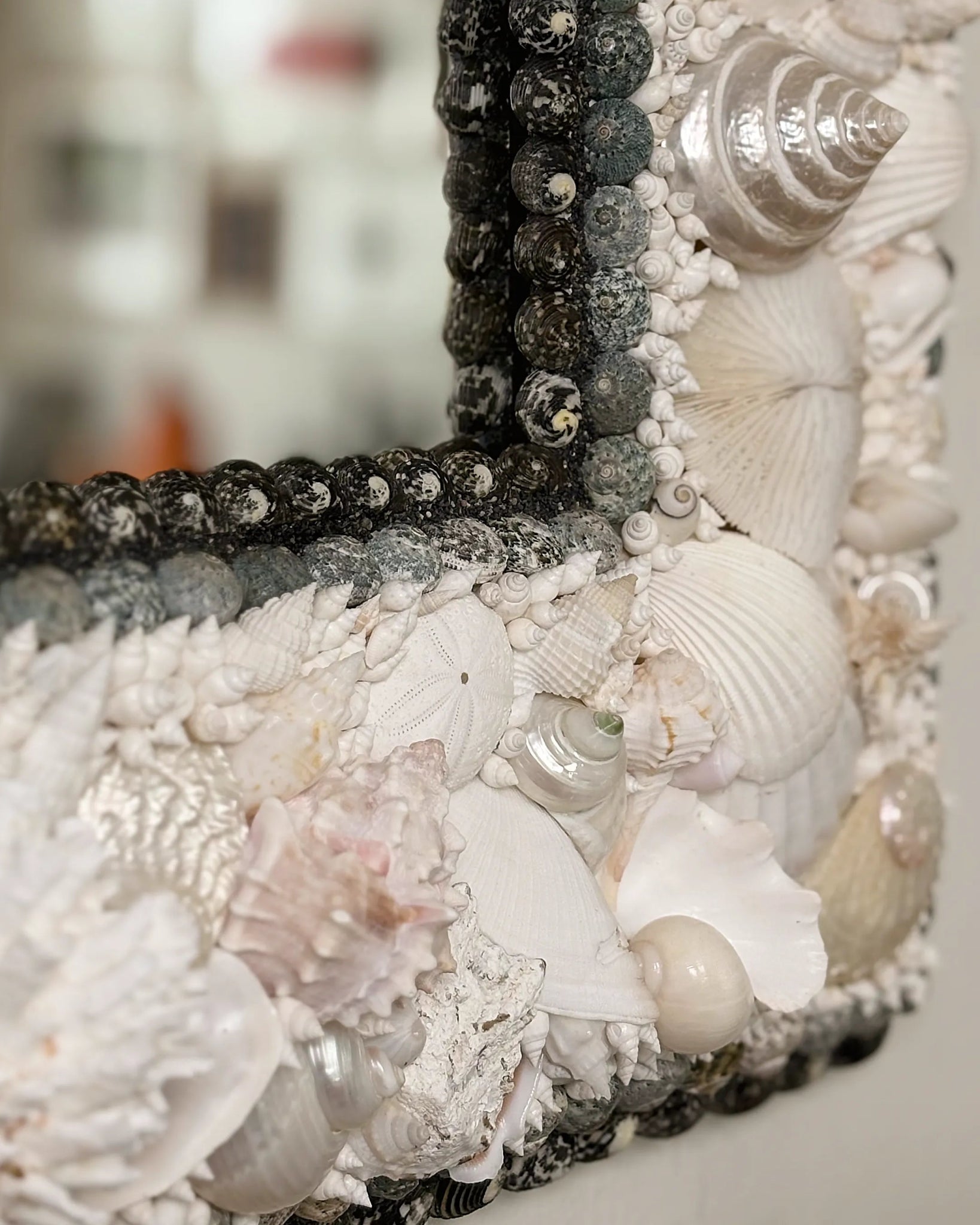 White Arc | Shell mirror, 1 of 1 | Shellman | Amsterdam | Natural art from sea and beach