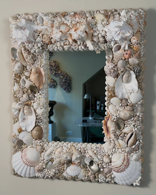 WINTER SOLSTICE | Shell mirror | Shellman | Amsterdam | Natural art from sea and beach